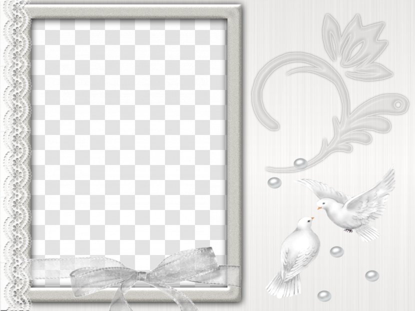Picture Frame Silver Color - Designer - Main Colors Animal Decorative Borders Transparent PNG