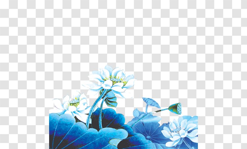 Nelumbo Nucifera - Flower - Lotus Transparent PNG