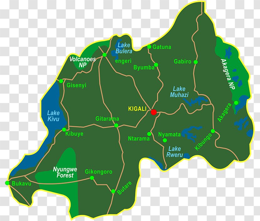 Volcanoes National Park Kazinga Nyungwe Forest Virunga Gorilla - Lake Kivu - Bamboo Growth Forests Transparent PNG