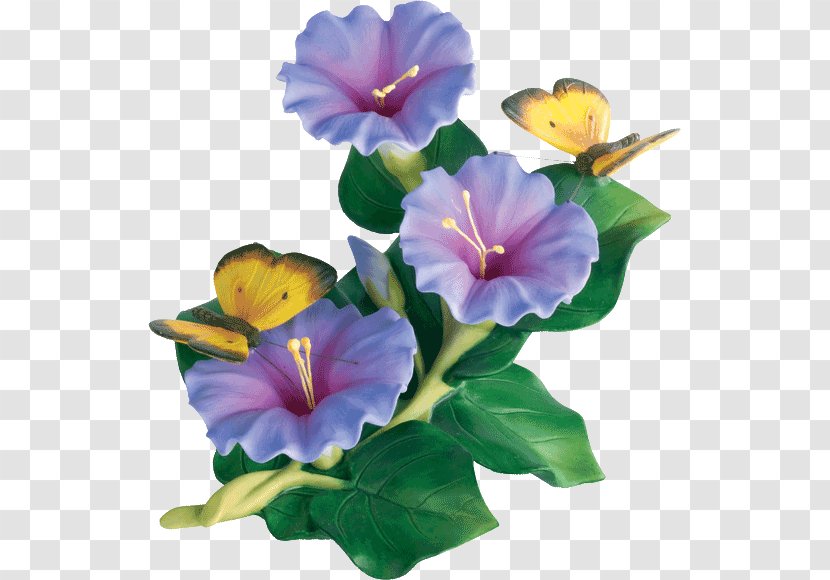 Japanese Morning Glory Violet Flower - Mallow Family - Image Transparent PNG