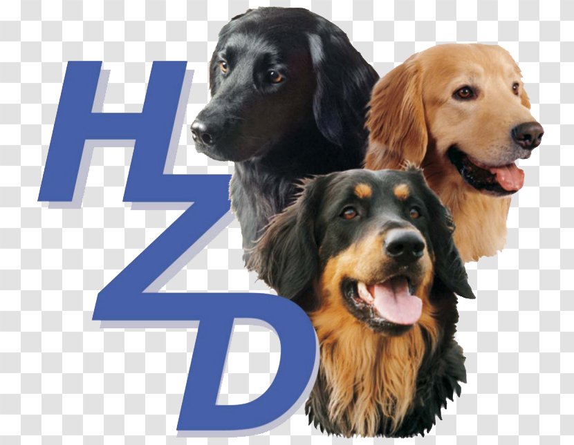 Hovawartzucht Verband Für Das Deutsche Hundewesen Puppy Fédération Cynologique Internationale - Paw Transparent PNG