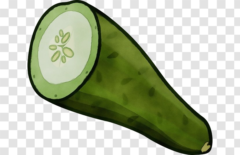 Avocado - Plant - Food Vegetable Transparent PNG