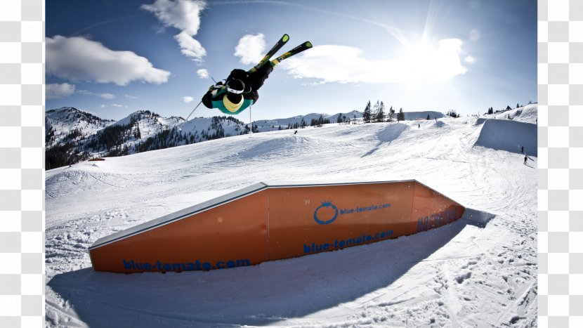 Snowboarding Surfboard Ski Bindings Slopestyle - Winter - Snowboard Transparent PNG