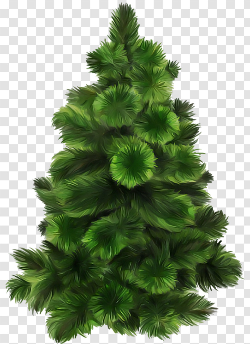 Christmas Tree Transparent PNG