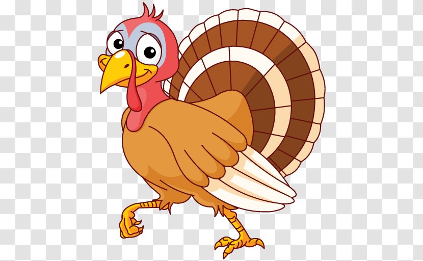 Thanksgiving Day Turkey Meat Dinner Clip Art - Wing - Beak Transparent PNG