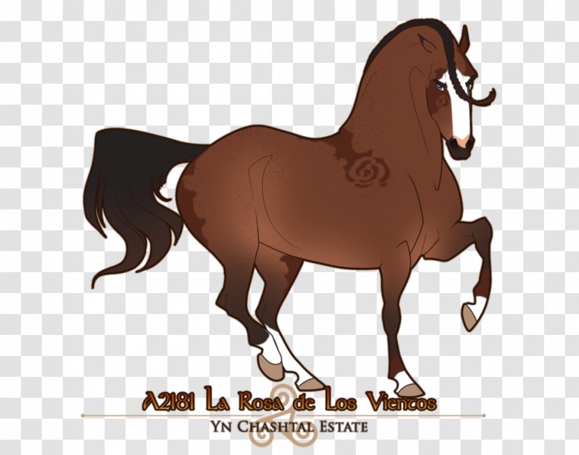 Mustang Mare Pony Stallion Bridle - Livestock Transparent PNG