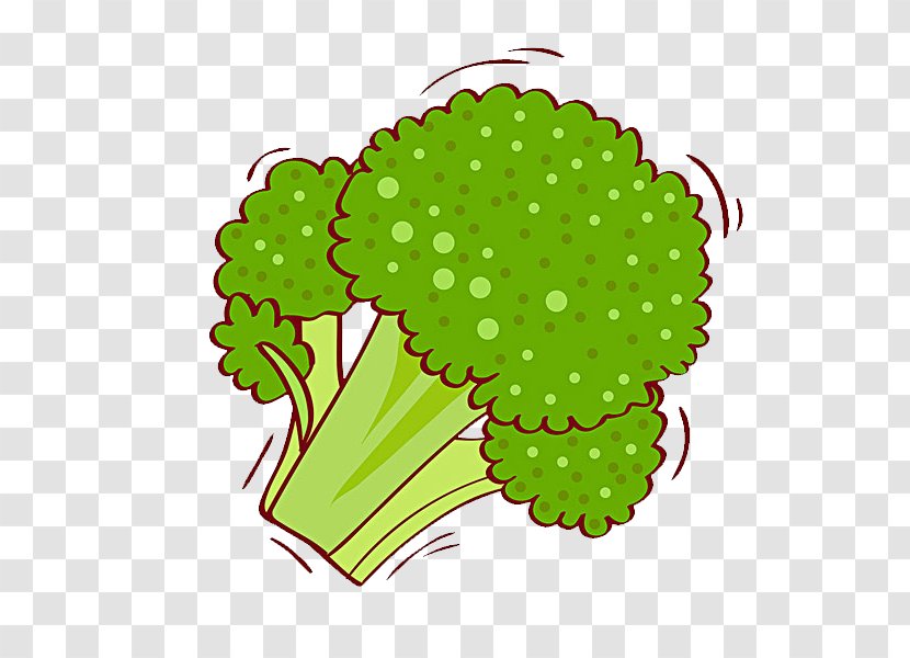 Broccoli Cauliflower Illustration Transparent PNG
