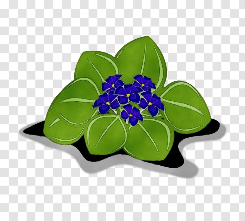 Leaf Green Blue Flower Plant - Violet - Periwinkle Flowering Transparent PNG