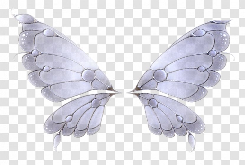Butterfly Wing Feather Insect - Lilac - Wings Transparent PNG