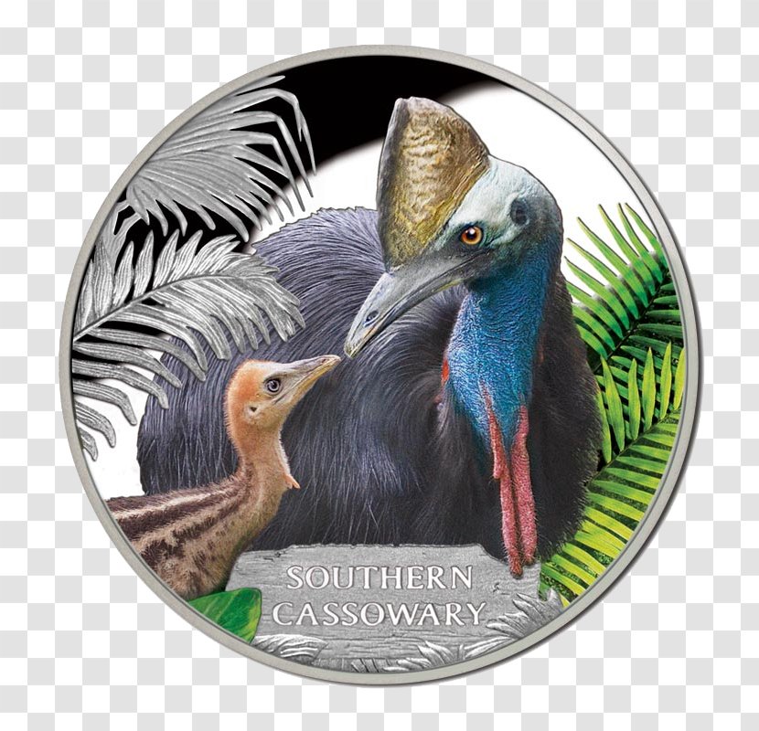 Southern Cassowary Tasmanian Devil Endangered Species Wedge-tailed Eagle Coin - Mahogany Glider Transparent PNG