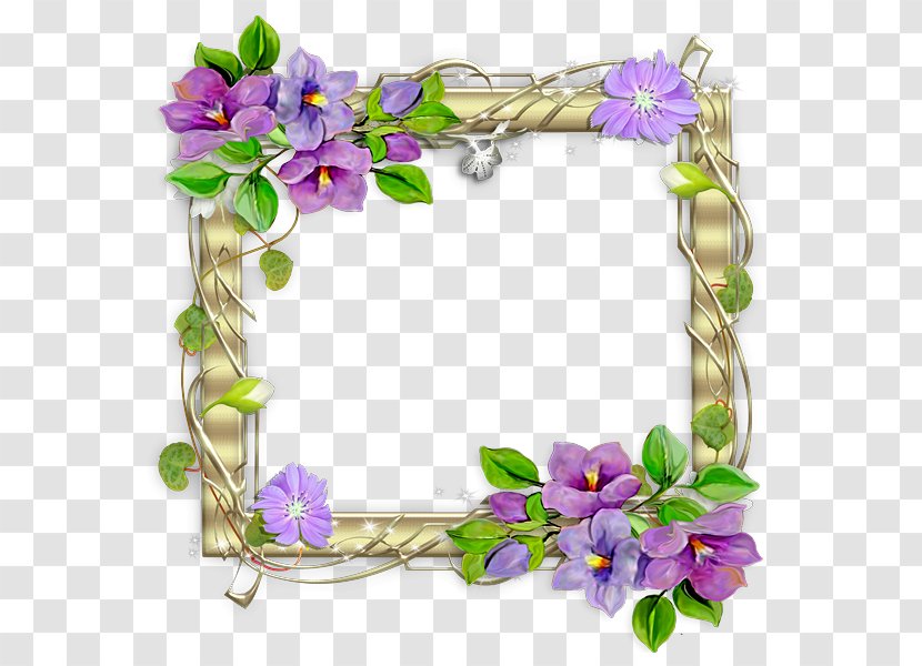 Picture Frames Image Molding Photography Clip Art - Flowering Plant - Painting Transparent PNG