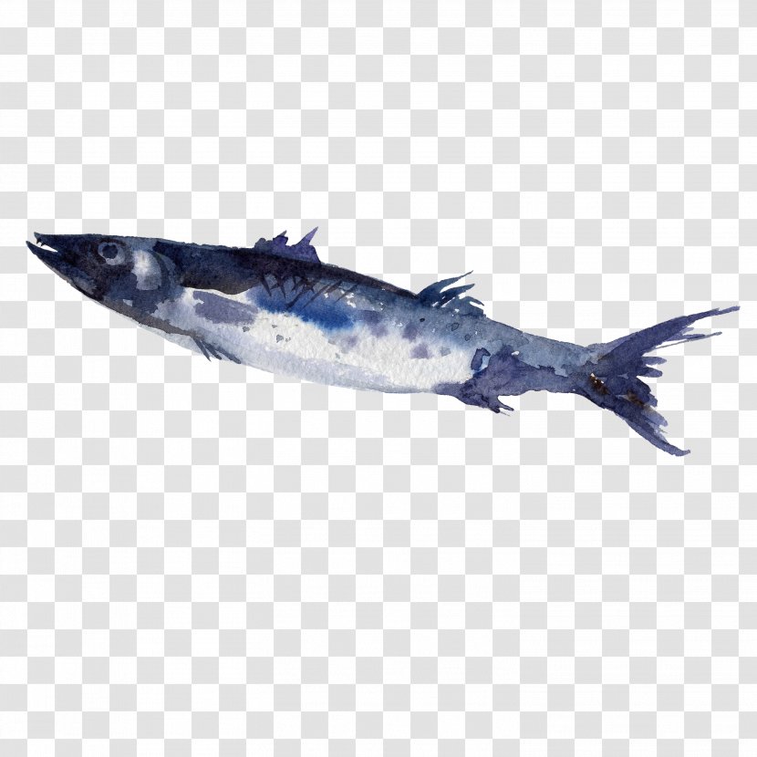 Fish Watercolor Painting - Mackerel Transparent PNG