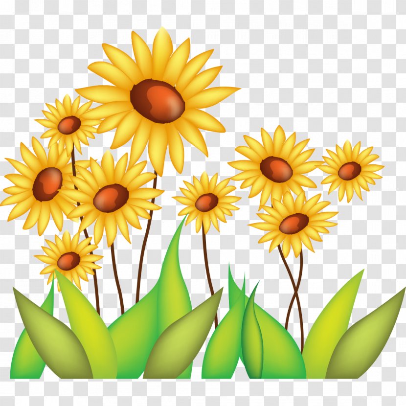 Common Sunflower Drawing - Daisy Family - Beautiful Transparent PNG