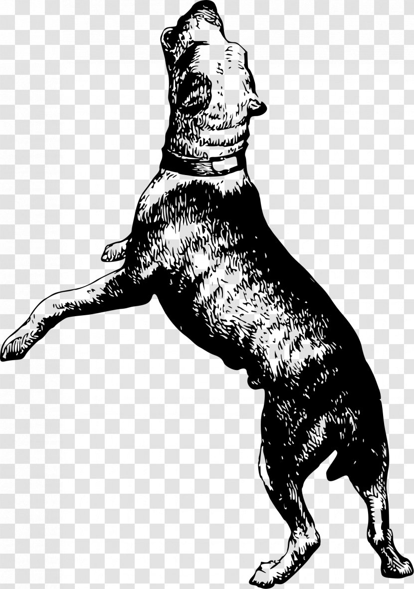 Dog Canidae Drawing Pet Mammal - Paw - Bull Transparent PNG