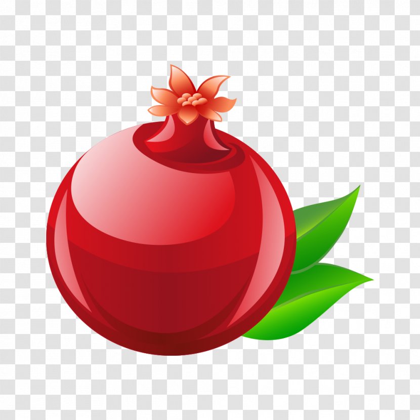 Clip Art Pomegranate Fruit Vector Graphics Hindi - Urdu - Red Button Transparent PNG