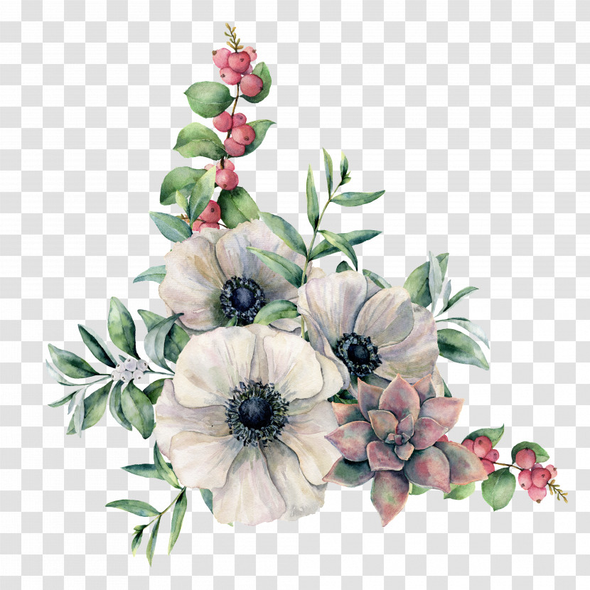 Anemone Flower Watercolor Painting Gum Trees Branch Transparent PNG