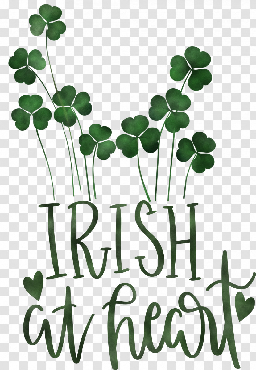 Shamrock Irish Saint Patrick Transparent PNG