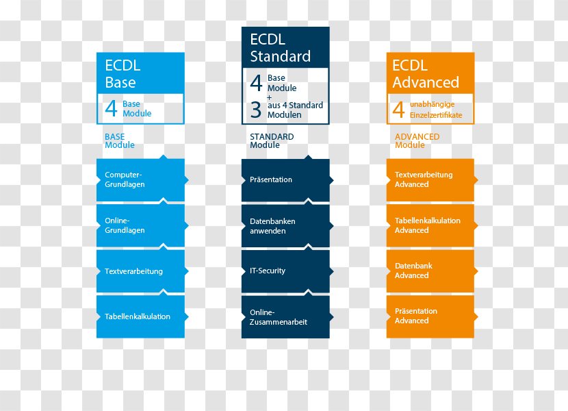 European Computer Driving Licence Computerführerschein Examination Database - Microsoft Word Transparent PNG