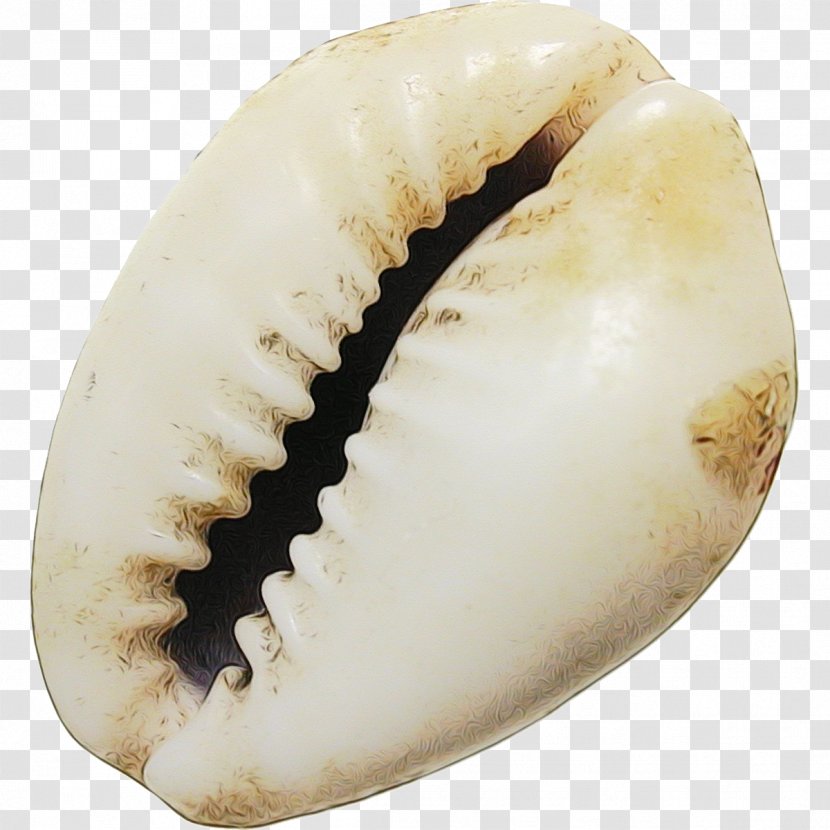Snail Cartoon - Tooth Mouth Transparent PNG