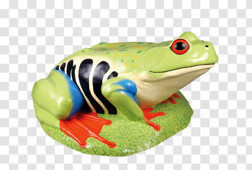 Frog Amphibian - Organism - Cartoon Transparent PNG