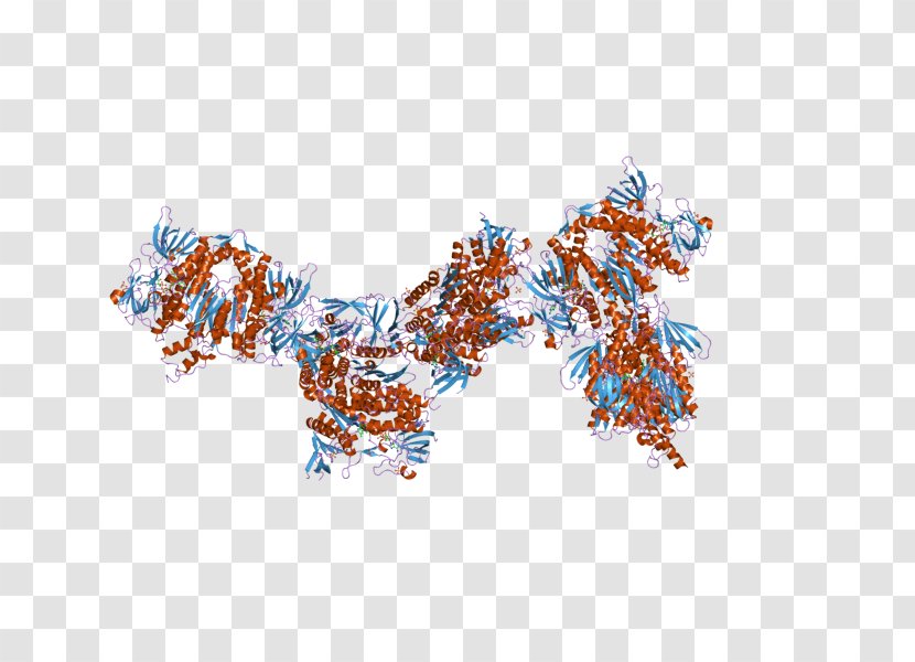 Dihydrolipoamide Dehydrogenase Enzyme Gene - Lipoamide Transparent PNG