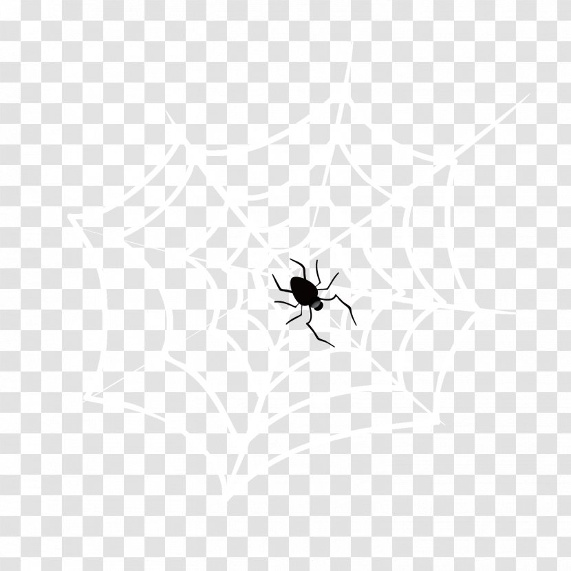 White Spider Web - Symmetry - Pest Transparent PNG