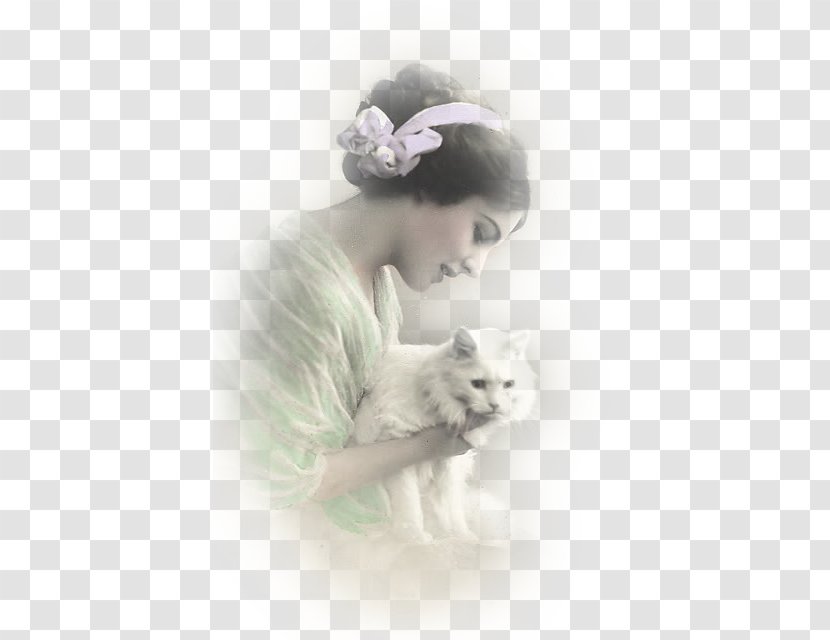 Vintage Clothing Post Cards Cat Photography Pin - Kitten - Home-made Transparent PNG