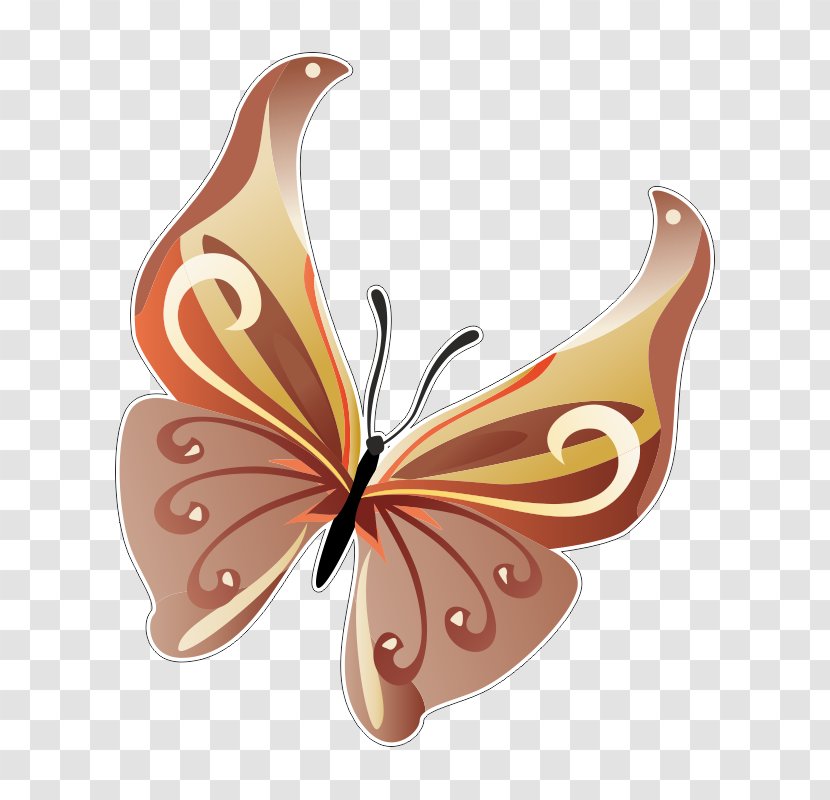 Butterfly Insect - Moths And Butterflies Transparent PNG