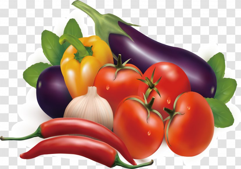 Vegetable Fruit Carrot Illustration - Food - Elements Transparent PNG