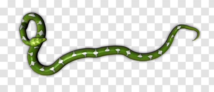 Reptile Snake Green Tree Python Animal Pythons - Figure Transparent PNG