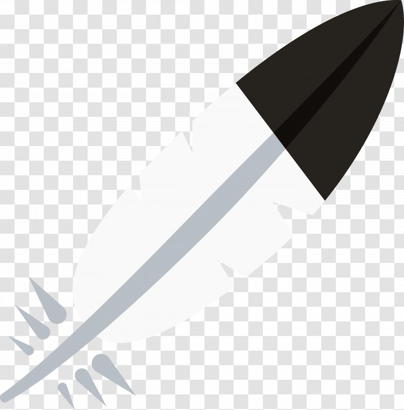 Eagle Feather Law Bald - Feathers Transparent PNG