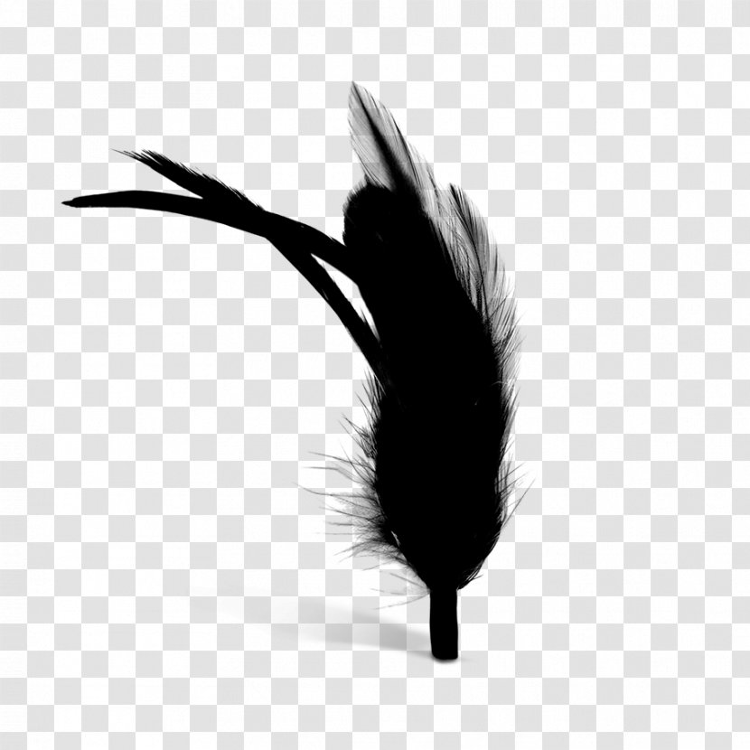 Feather Black M - Wing - Pen Transparent PNG