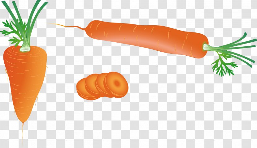 Carrot Download Vegetable - Vector Transparent PNG