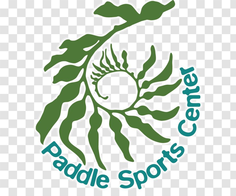 Paddle Sports Center Standup Paddleboarding Hotel Kayak Harbor Way - Brand Transparent PNG
