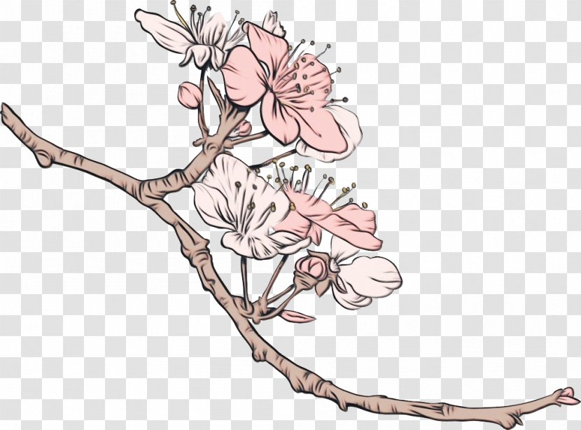 Cherry Blossom Cherries Clip Art Illustration - Royaltyfree - Royalty Payment Transparent PNG
