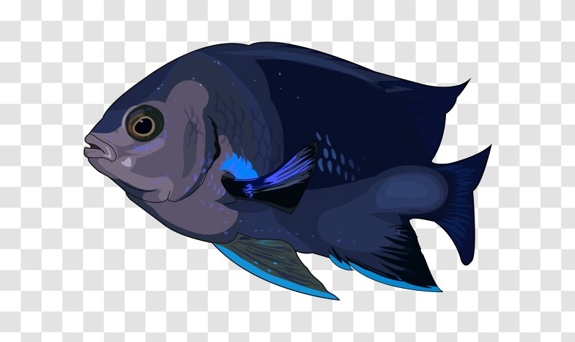 Marine Biology Mammal Fin Cobalt Blue - Fula Vector Transparent PNG