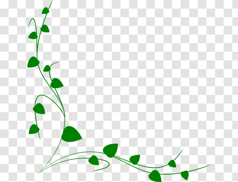 Clip Art Vector Graphics Drawing Vine - Flower - Black And White Leaf Border Transparent PNG