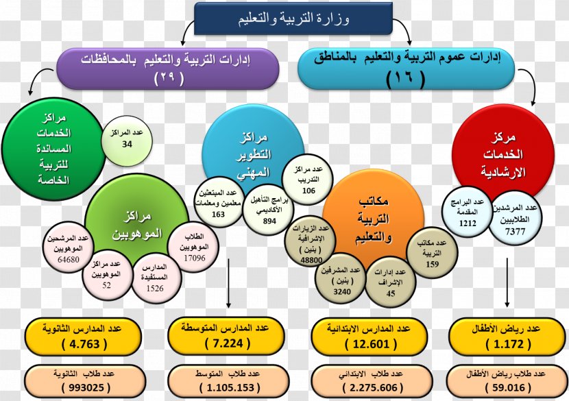 Education In Saudi Arabia Ministry Of School - Text - Agency Publisher Transparent PNG