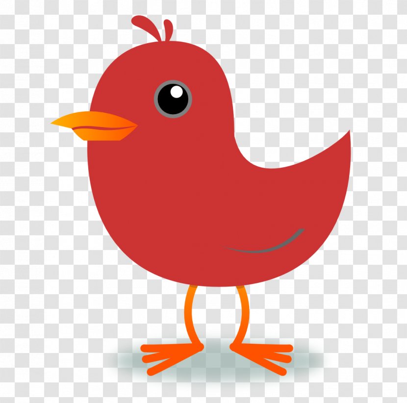 Bird Northern Cardinal Clip Art - Blog - Transparent Cliparts Transparent PNG