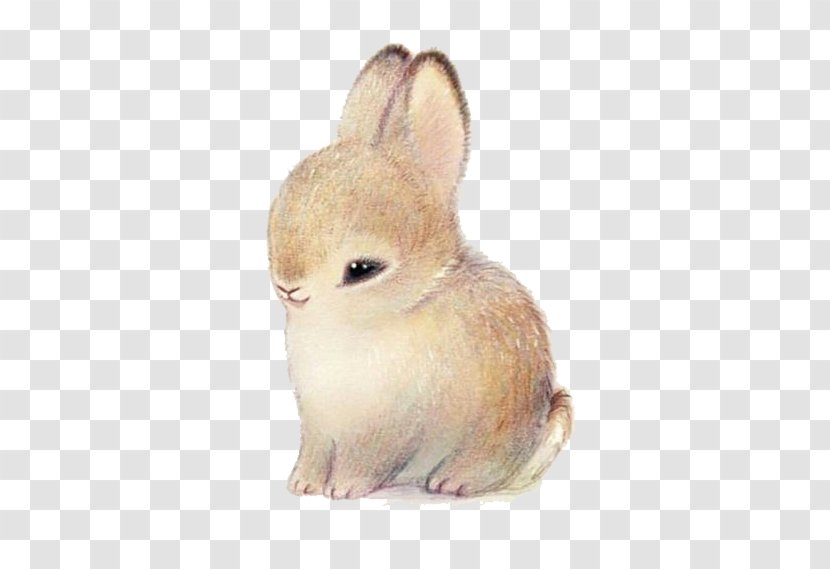 Cartoon Illustration - Fauna - Rabbit Transparent PNG