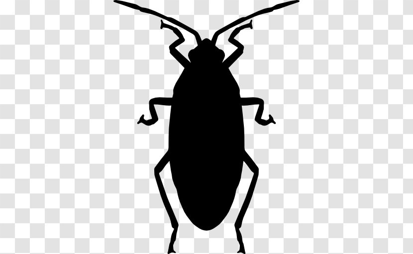 Cockroach - Wing - Royaltyfree Transparent PNG