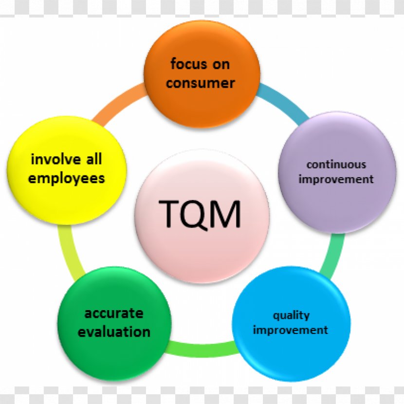 Total Quality Management Organization - Brand Transparent PNG