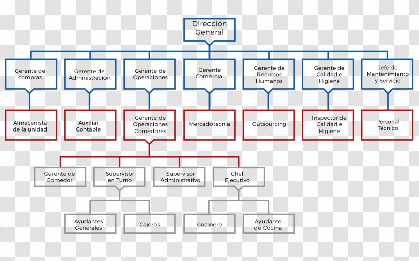 Document Line Angle - Organization - Design Transparent PNG