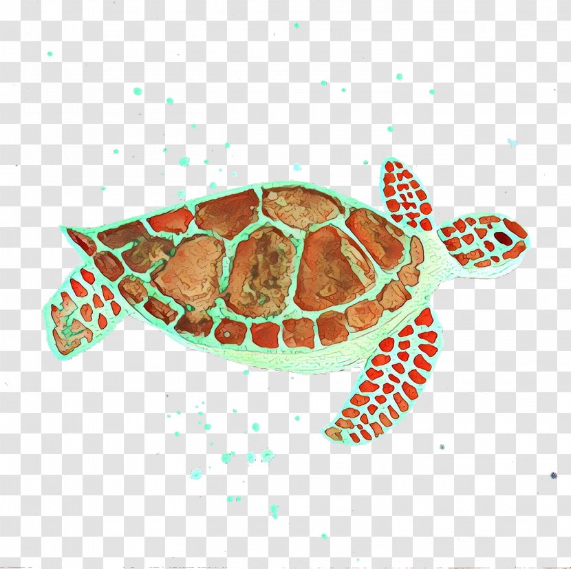 Sea Turtle Background - Olive Ridley Pond Transparent PNG