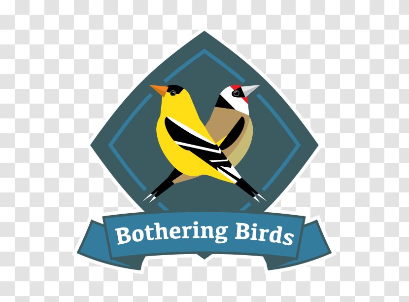 Bird Nest Birdwatching Rose-throated Becard Beak - Aqueduct Frame Transparent PNG