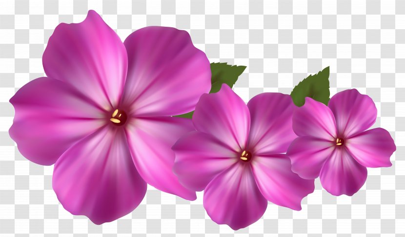 Pink Flowers Clip Art - Flowering Plant - Flower Images Transparent PNG