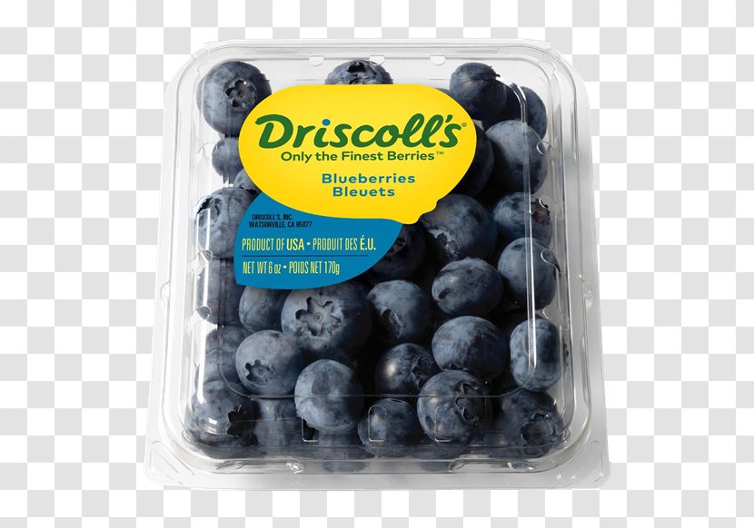 Lowbush Blueberry Driscoll's Bilberry Fruit - Online Grocer Transparent PNG