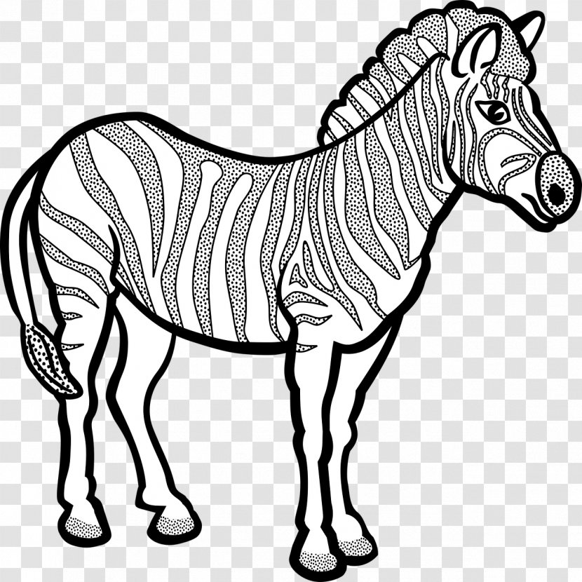 Zebra Line Art Clip - Silver White Ma Transparent PNG