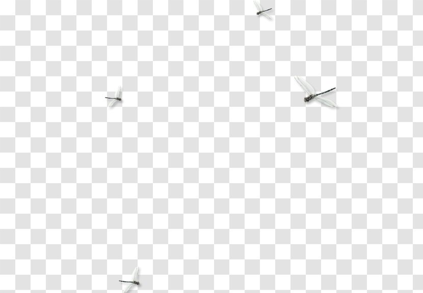 White Floor Angle Pattern - Dragonfly Transparent PNG