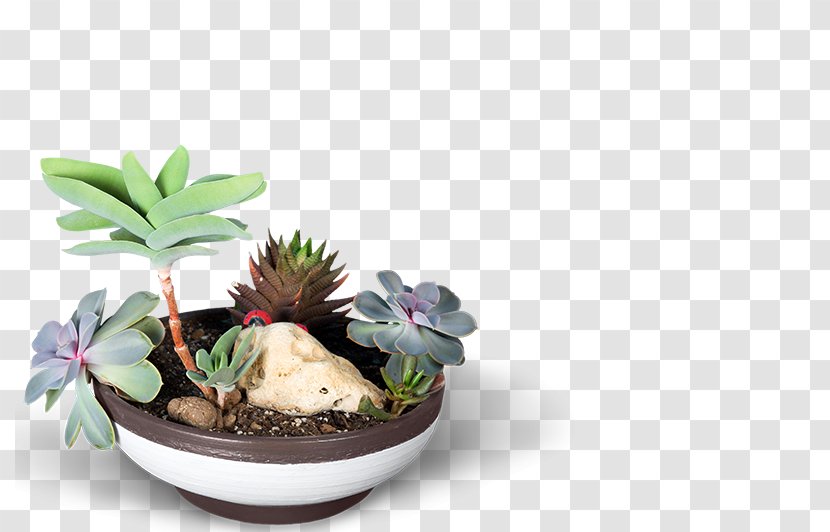 Online Shopping Webstore E-commerce Sales Flowerpot - Herb Transparent PNG